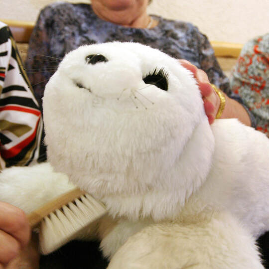 In manchen Einrichtungen in Deutschland wird die Roboter-Robbe „Paro“ zur Behandlung Demenzkranker eingesetzt. Uli Deck/picture Baby-Roboter-Robbe Paro