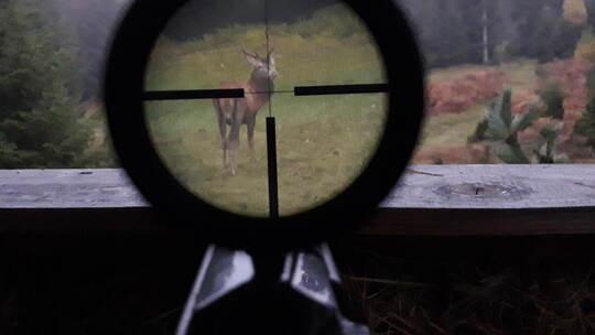 Wegen einer umstrittenen Jagd bei Sprollenhaus ermittelt nun die Polizei.Foto: Privat