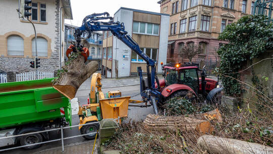 Die Bäume müssen weichen: An der Edisonstaffel wird Platz geschaffen, um das Bauwerk zu sanieren. Foto: Mayer Baumfällung Edisonstaffel