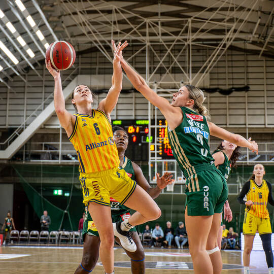 Basketball Alba vs Keltern 20251206