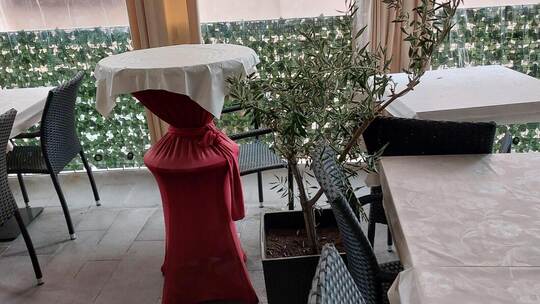 Eines der Mädchen besprühte die Olivenbäume mit einem unbekannten Mittel. Fretto