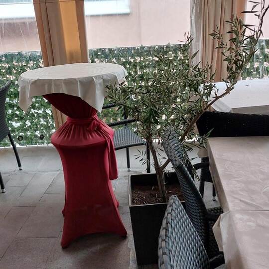 Eines der Mädchen besprühte die Olivenbäume mit einem unbekannten Mittel. Fretto